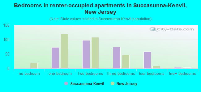 Bedrooms in renter-occupied apartments in Succasunna-Kenvil, New Jersey