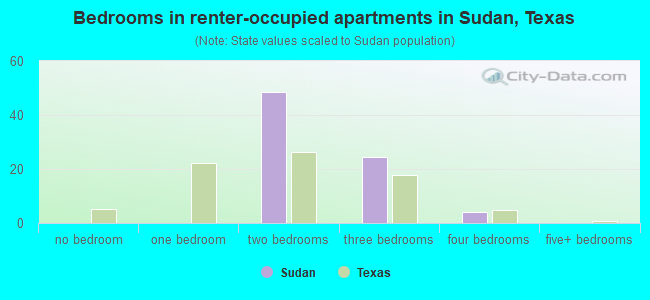Bedrooms in renter-occupied apartments in Sudan, Texas