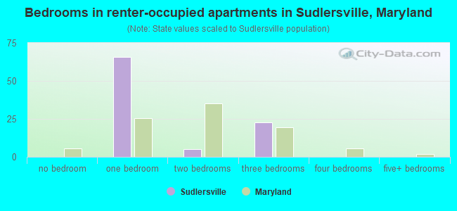 Bedrooms in renter-occupied apartments in Sudlersville, Maryland