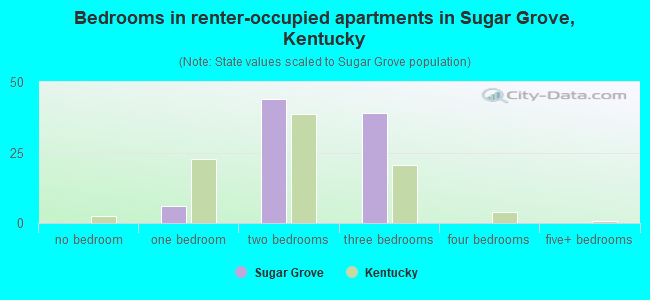 Bedrooms in renter-occupied apartments in Sugar Grove, Kentucky
