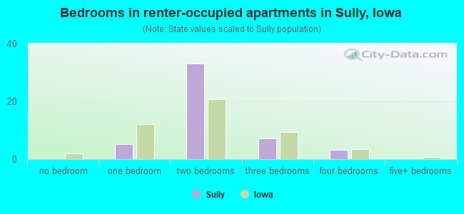 Bedrooms in renter-occupied apartments in Sully, Iowa