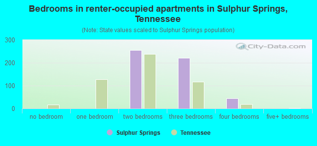 Bedrooms in renter-occupied apartments in Sulphur Springs, Tennessee