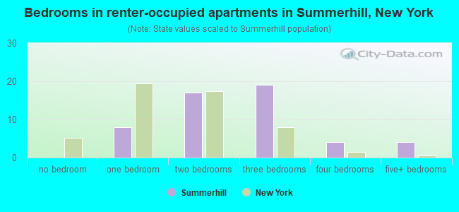 Bedrooms in renter-occupied apartments in Summerhill, New York