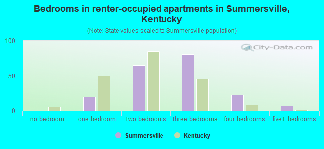 Bedrooms in renter-occupied apartments in Summersville, Kentucky