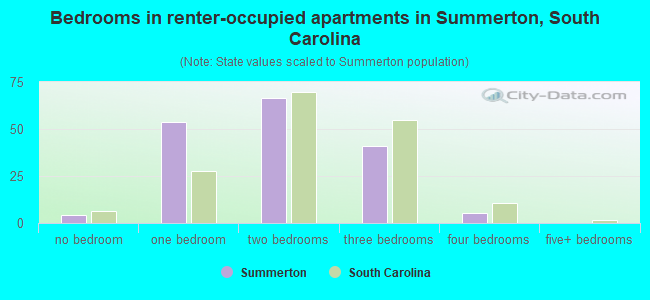 Bedrooms in renter-occupied apartments in Summerton, South Carolina