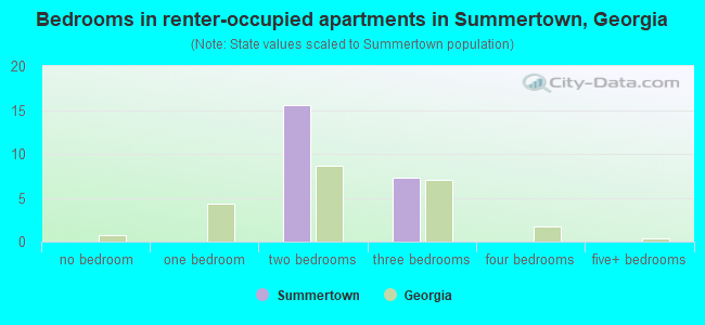 Bedrooms in renter-occupied apartments in Summertown, Georgia