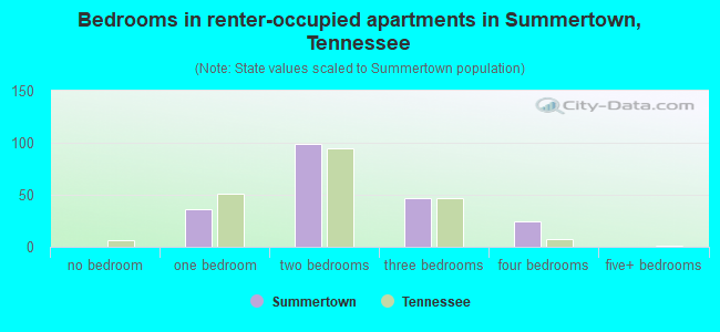 Bedrooms in renter-occupied apartments in Summertown, Tennessee