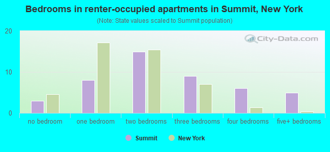 Bedrooms in renter-occupied apartments in Summit, New York