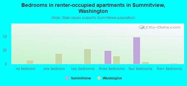 Bedrooms in renter-occupied apartments in Summitview, Washington