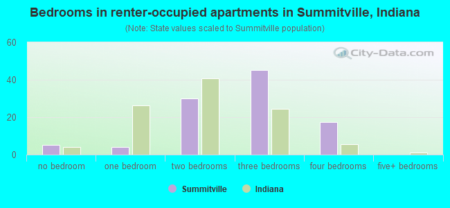 Bedrooms in renter-occupied apartments in Summitville, Indiana