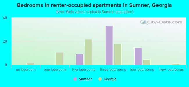 Bedrooms in renter-occupied apartments in Sumner, Georgia