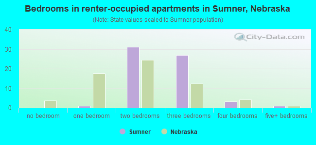 Bedrooms in renter-occupied apartments in Sumner, Nebraska
