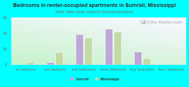 Bedrooms in renter-occupied apartments in Sumrall, Mississippi