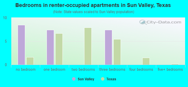 Bedrooms in renter-occupied apartments in Sun Valley, Texas
