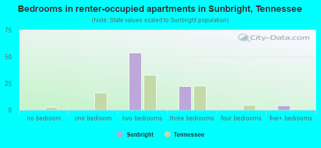 Bedrooms in renter-occupied apartments in Sunbright, Tennessee