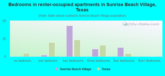 Bedrooms in renter-occupied apartments in Sunrise Beach Village, Texas