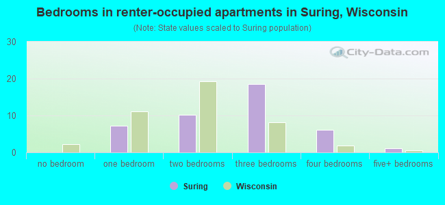 Bedrooms in renter-occupied apartments in Suring, Wisconsin