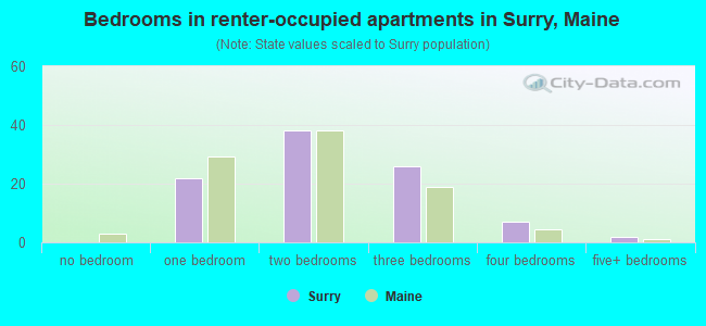 Bedrooms in renter-occupied apartments in Surry, Maine