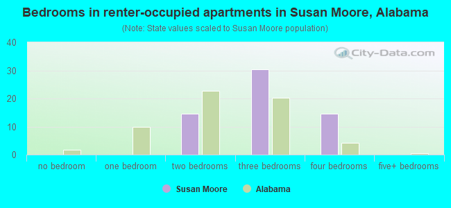 Bedrooms in renter-occupied apartments in Susan Moore, Alabama