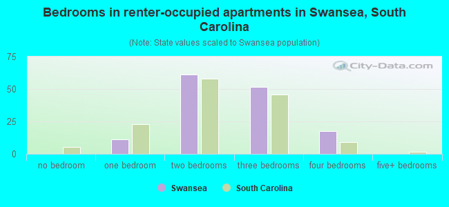 Bedrooms in renter-occupied apartments in Swansea, South Carolina