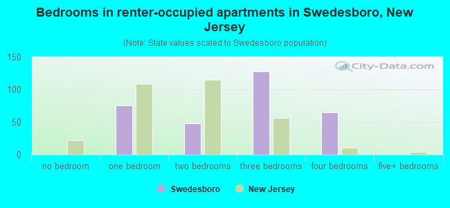 Bedrooms in renter-occupied apartments in Swedesboro, New Jersey