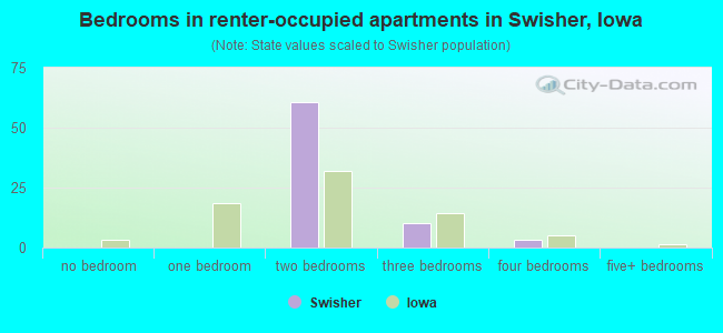 Bedrooms in renter-occupied apartments in Swisher, Iowa