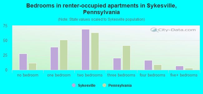 Bedrooms in renter-occupied apartments in Sykesville, Pennsylvania