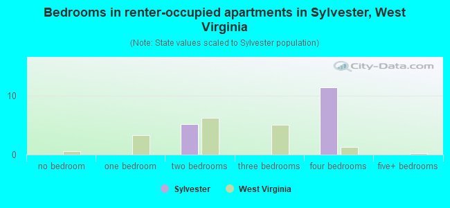 Bedrooms in renter-occupied apartments in Sylvester, West Virginia