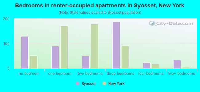 Bedrooms in renter-occupied apartments in Syosset, New York