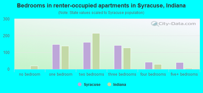Bedrooms in renter-occupied apartments in Syracuse, Indiana