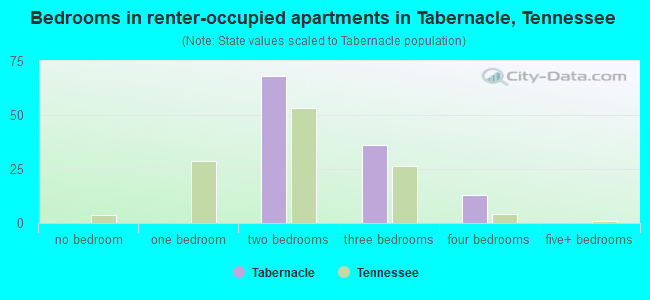 Bedrooms in renter-occupied apartments in Tabernacle, Tennessee