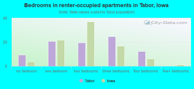 Bedrooms in renter-occupied apartments in Tabor, Iowa