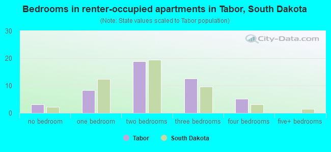 Bedrooms in renter-occupied apartments in Tabor, South Dakota