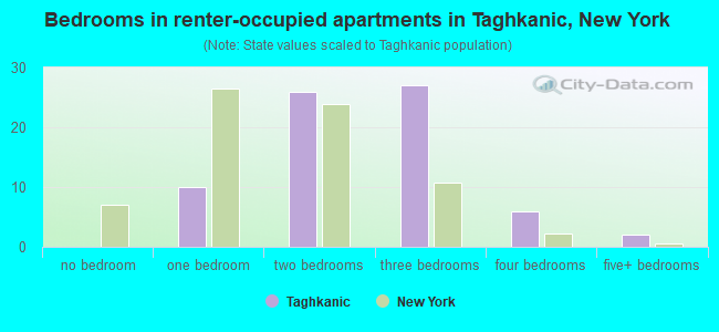 Bedrooms in renter-occupied apartments in Taghkanic, New York