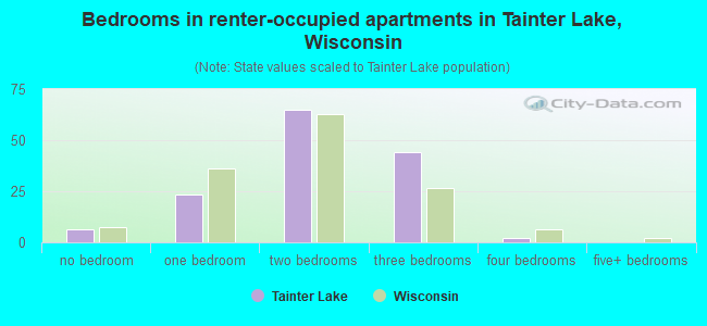 Bedrooms in renter-occupied apartments in Tainter Lake, Wisconsin