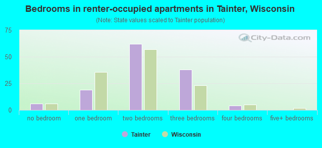 Bedrooms in renter-occupied apartments in Tainter, Wisconsin