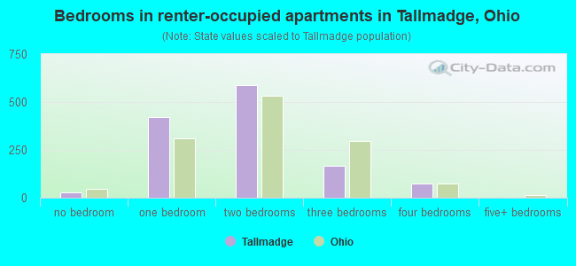 Bedrooms in renter-occupied apartments in Tallmadge, Ohio