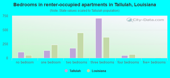 Bedrooms in renter-occupied apartments in Tallulah, Louisiana