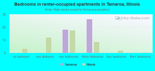 Bedrooms in renter-occupied apartments in Tamaroa, Illinois
