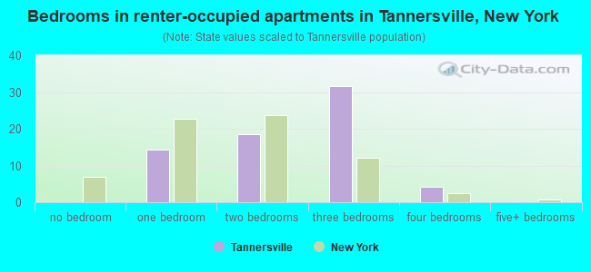 Bedrooms in renter-occupied apartments in Tannersville, New York