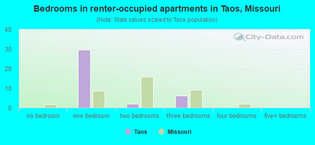 Bedrooms in renter-occupied apartments in Taos, Missouri