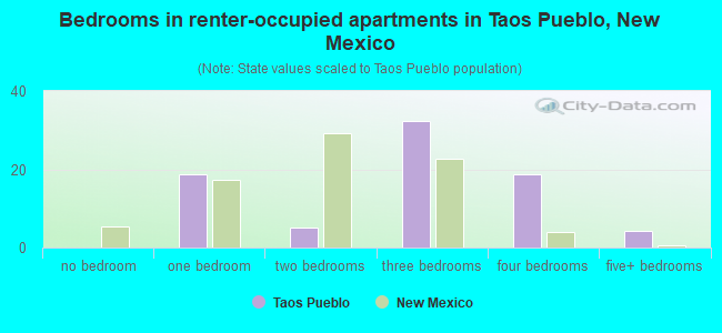 Bedrooms in renter-occupied apartments in Taos Pueblo, New Mexico