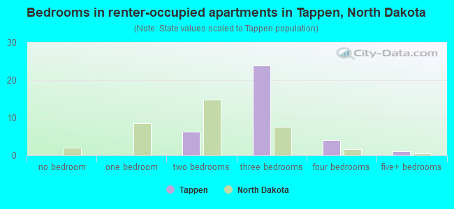 Bedrooms in renter-occupied apartments in Tappen, North Dakota