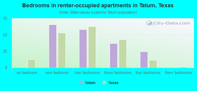 Bedrooms in renter-occupied apartments in Tatum, Texas