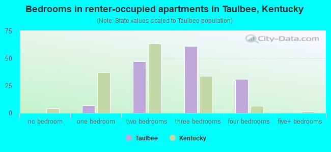 Bedrooms in renter-occupied apartments in Taulbee, Kentucky
