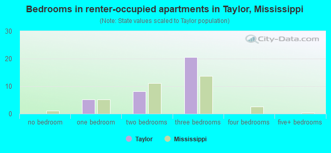 Bedrooms in renter-occupied apartments in Taylor, Mississippi