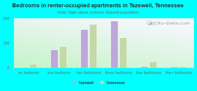 Bedrooms in renter-occupied apartments in Tazewell, Tennessee