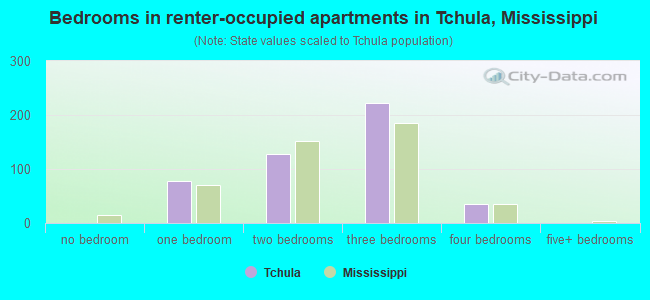 Bedrooms in renter-occupied apartments in Tchula, Mississippi