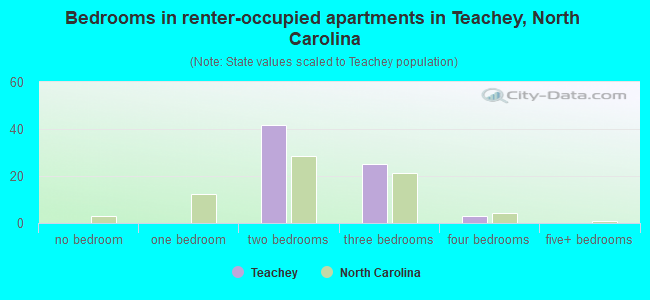 Bedrooms in renter-occupied apartments in Teachey, North Carolina