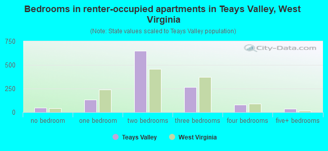 Bedrooms in renter-occupied apartments in Teays Valley, West Virginia